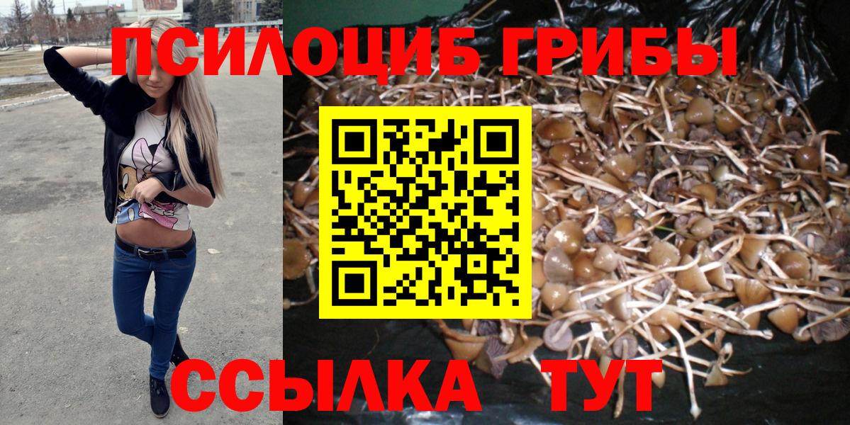 Фрязино  Галлюциногенные грибы Cubensis  Вход с VPN 